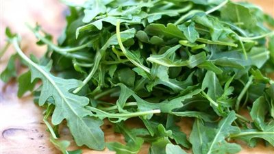 فوائد الجرجير لـ صحة الجسم.. تعرف عليها