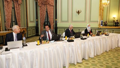 3 وزراء يشاركون في اجتماع اللجنة التوجيهية للشراكة بين الجانبين المصري والياباني