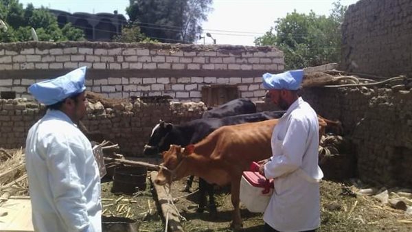 جانب من الحملة القومية