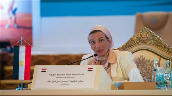 الدكتورة ياسمين فؤاد