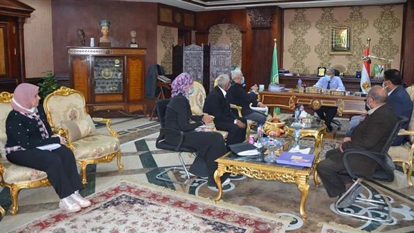 محافظ المنيا