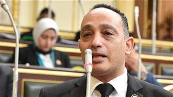 النائب فريد البياضي