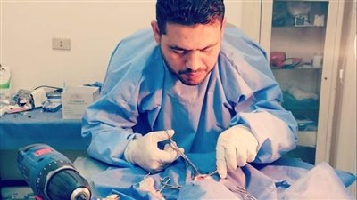 عملية جراحية لإنقاذ القطة 