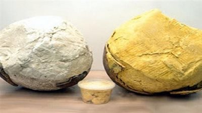 مضرة بالصحة.. ما الفرق بين زبدة الشيا الصفراء والبيضاء؟