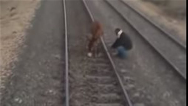 السكه الحديد