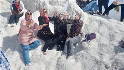 المشاركات في 