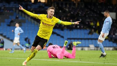 رويس يكشف طموحات بوروسيا دورتموند في الموسم الجديد