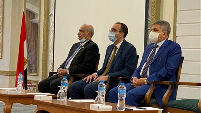 أسامة ربيع: حادث 