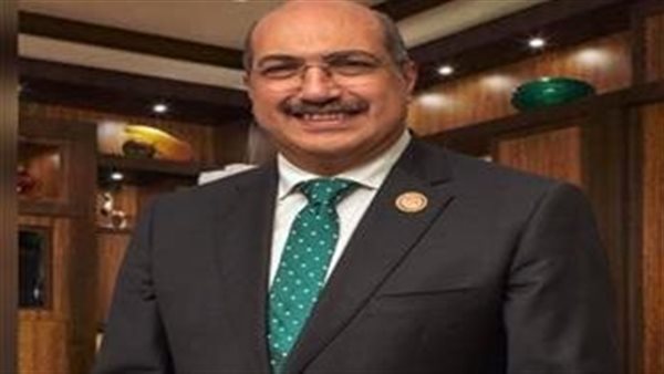 النائب الدكتور إيهاب