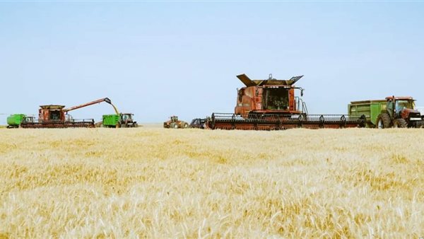 موسم حصاد القمح