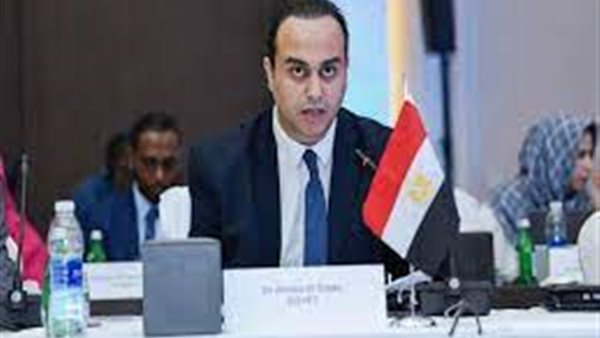 الدكتور أحمد السبكي