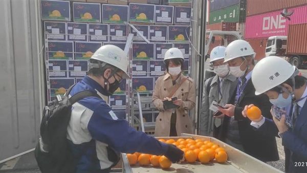 استقبال شحنة برتقال