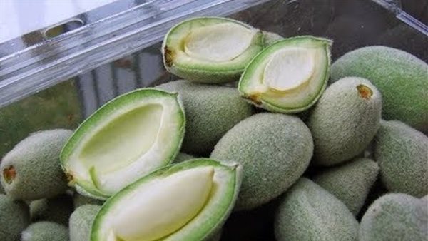 فوائد اللوز الأخضر