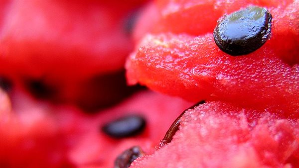 بذور البطيخ