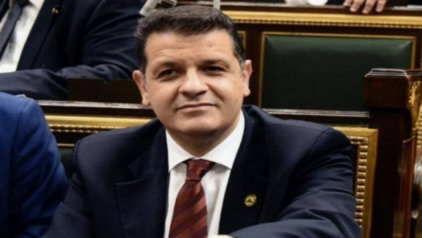 النائب طارق رضوان