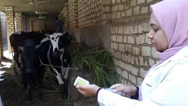 جانب من الحملة