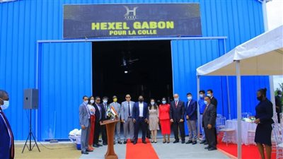 ما هي قصة أول مصنع مصري صديق للبيئة في الجابون؟