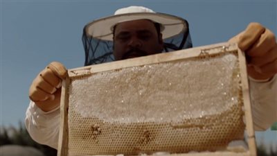 غموض وإثارة وخيانة.. البرومو التشويقي لمسلسل لعبة نيوتن