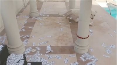 بعد حمام السباحة.. محمد رمضان يستفز الجمهور بإعطاء دولارات لـ