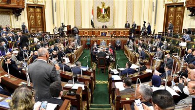 أعضاء بمجلس النواب والشيوخ يطالبون عبر 