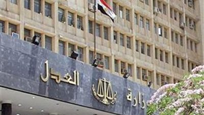 قاضي التحقيق في قضية التمويل الأجنبي: لا وجه لإقامة الدعوى الجنائية لـ المصري للحق في التعليم