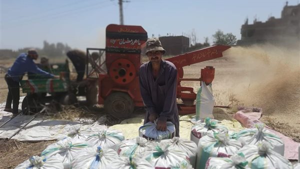 بداية حصاد محصول