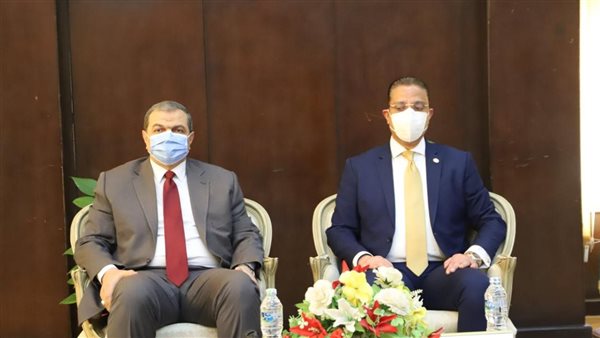 وزير القوى العاملة