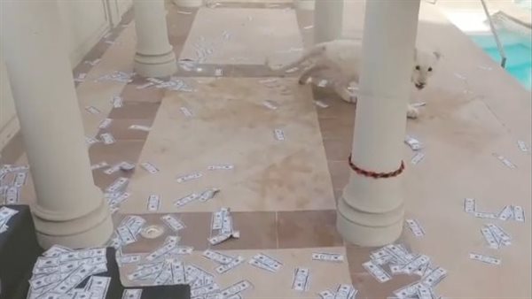 محمد رمضان يعطي دولارات