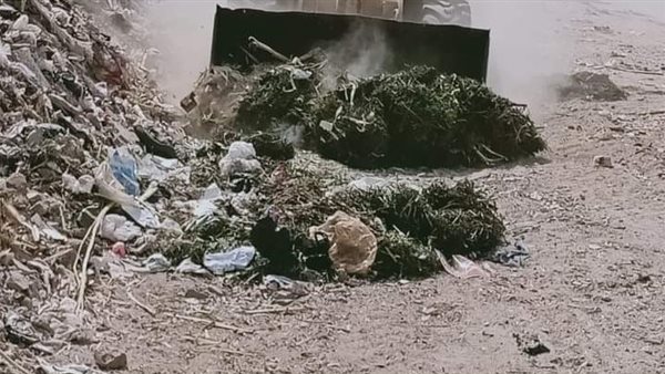 جانب من رفع القمامة