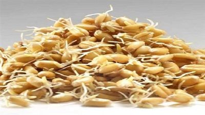 تخليص الكبد من السموم