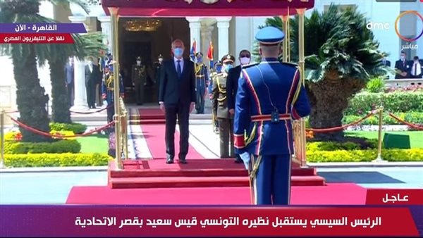 الرئيس السيسي ونظيره