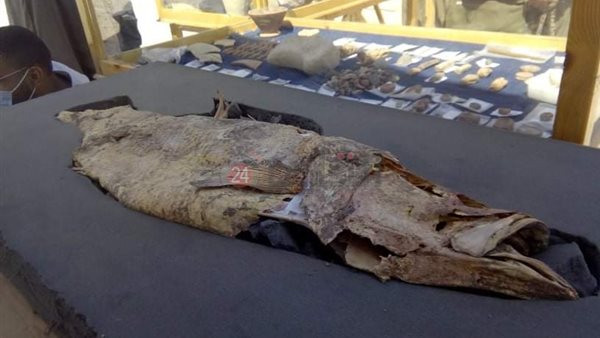 السمكة الضخمة بالمدينة