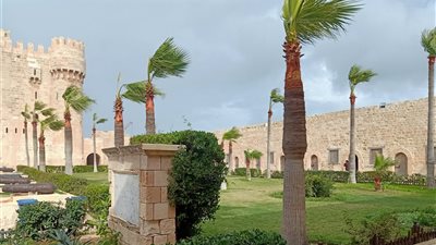 رياح شديدة وانخفاض بدرجات الحرارة.. طقس سئ يضرب الإسكندرية لليوم الثالث على التوالي