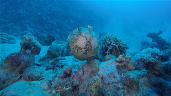 الكشف عن مقدمة السفينة