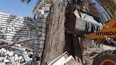 إزالة 90 % من إجمالي الحالات المستهدفة خلال الموجة 17 في قنا