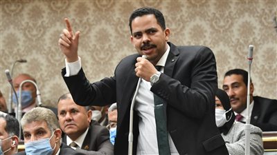 بكري يثير غضب الأغلبية النيابية.. ورشاد يرد: البرلمان يمارس دوره بحرية كاملة