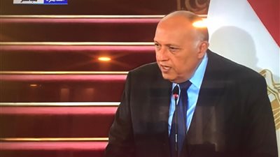 وزير الخارجية: ناقشت مع نظيري الروسي مساعي الوصول للسلام بين فلسطين وإسرائيل