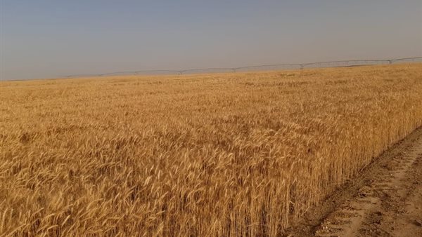 جانب من المشروع