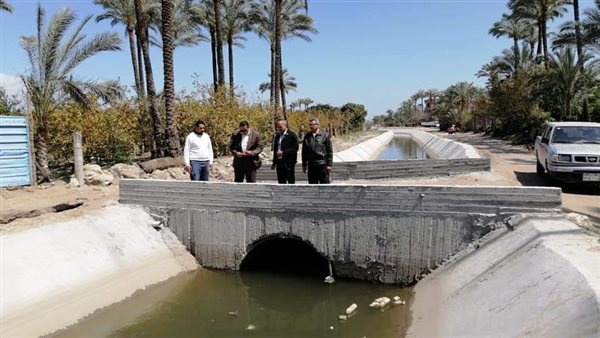 وكيل زراعة دمياط