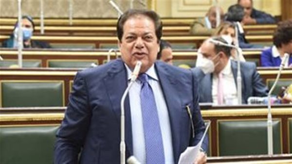 النائب محمد أبو العينين،