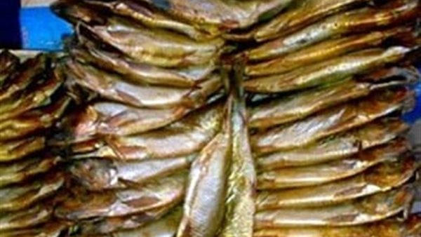 ملوحه فاسده