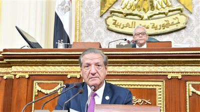 بقيمة مليار و40 مليون جنيه.. البرلمان يقر الحساب الختامي لموازنة المجلس