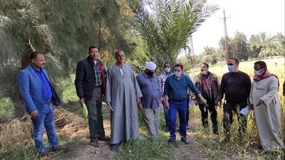 معاينة 13 حالة أملاك دولة بالفتح في أسيوط لتقنين أوضاعها