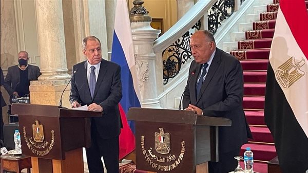 سامح شكري وزير الخارجية