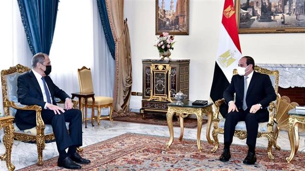 السيسي ووزير خارجية