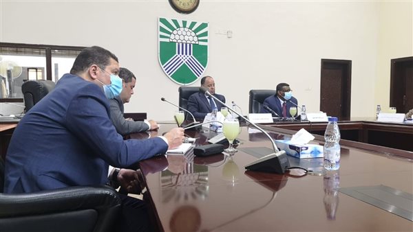 الدكتور محمد معيط