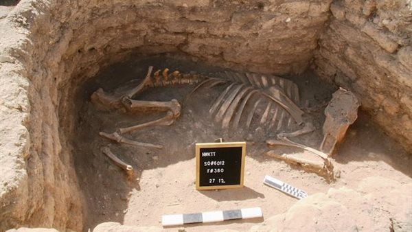 الكشف الآثري الجديد