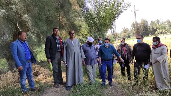 جانب من المعاينة