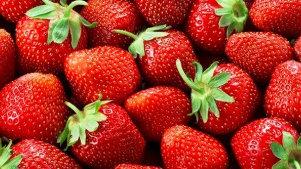 صادرات الفراولة المصرية