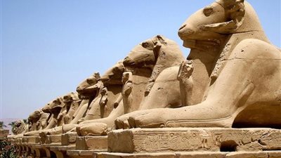 تحديد جلسة 24 أبريل للحكم في دعوى وقف نقل تماثيل الكباش من معابد الكرنك لتزيين ميدان التحرير